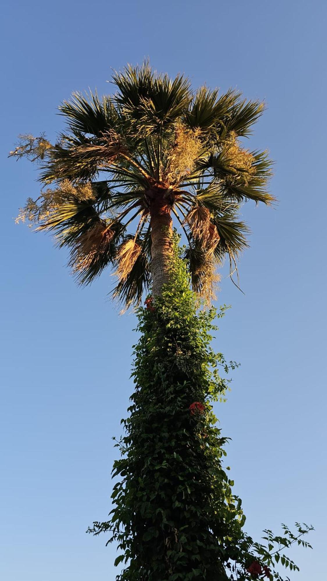דליאן Villa Bade מראה חיצוני תמונה